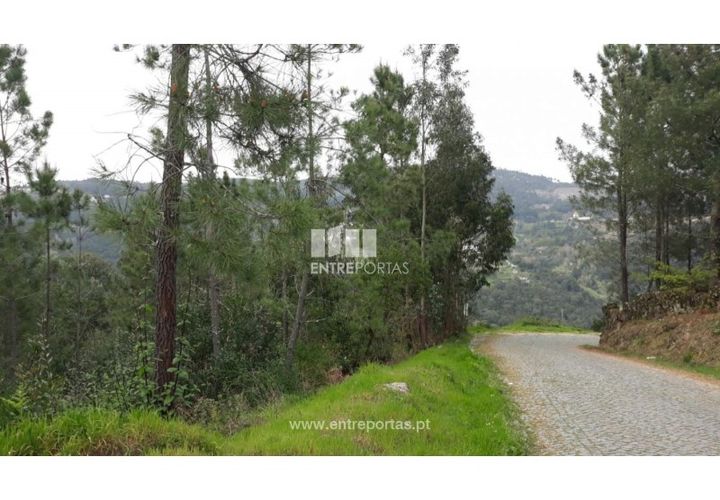 Helårsgrund i Ancede e Ribadouro, Porto, Ancede e Ribadouro - € 17.000 | Ref: MC08939 - foto 1