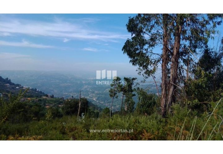Helårsgrund i Cinfaes, Viseu, Cinfaes - € 25.000 | Ref: MC08997 - foto 1