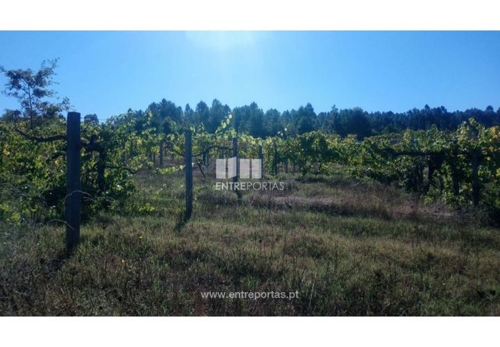 Helårsgrund i Amarante, Porto, Amarante - € 110.000 | Ref: MC09020 - foto 1