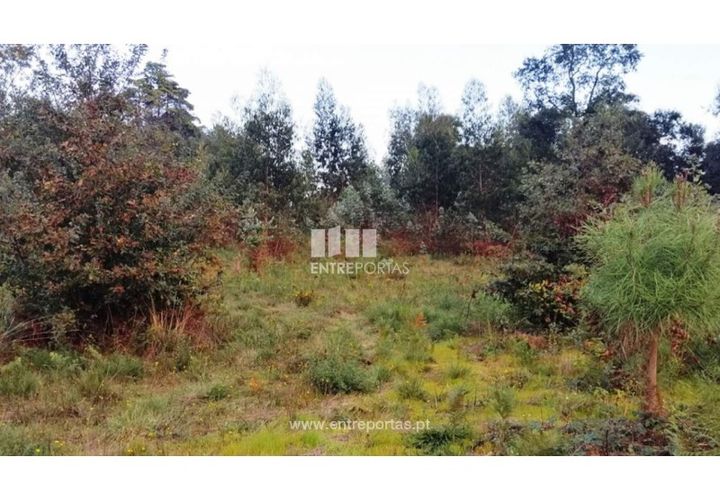 Terra a Barroselas, Viana do Castelo, Barroselas - € 85.000 | Ref: VCM13163 - foto 1