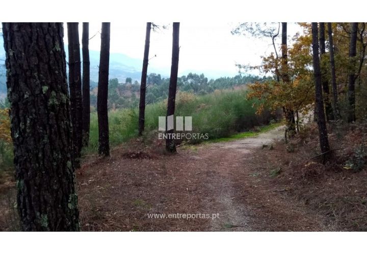 Helårsgrund i Gondomar, Porto, Gondomar - € 100.000 | Ref: MC09103 - foto 1