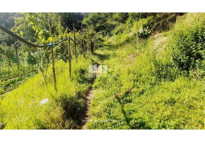 Terra a Cinfaes, Viseu, Cinfaes - € 27.000 | Ref: MC09181 - foto 1