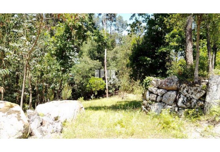 Helårsgrund i Cinfaes, Viseu, Cinfaes - € 16.000 | Ref: MC09182 - foto 1