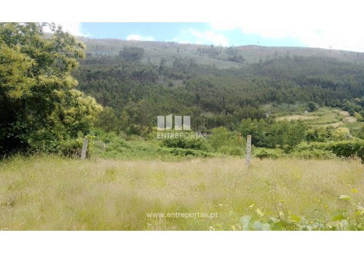 Terra a Cinfaes, Viseu, Cinfaes - € 35.000 | Ref: MC09216 - foto 1