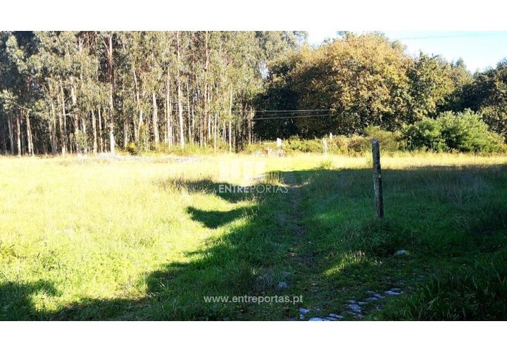 Helårsgrund i Viana do Castelo, Viana do Castelo, Viana do Castelo - € 200.000 | Ref: VCM13479 - foto 1