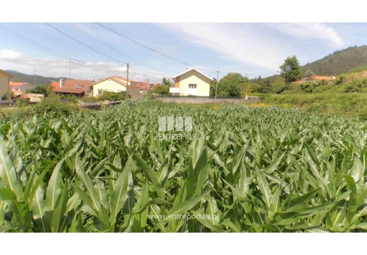 Helårsgrund i Caminha, Viana do Castelo, Caminha - € 91.750 | Ref: C02527 - foto 1