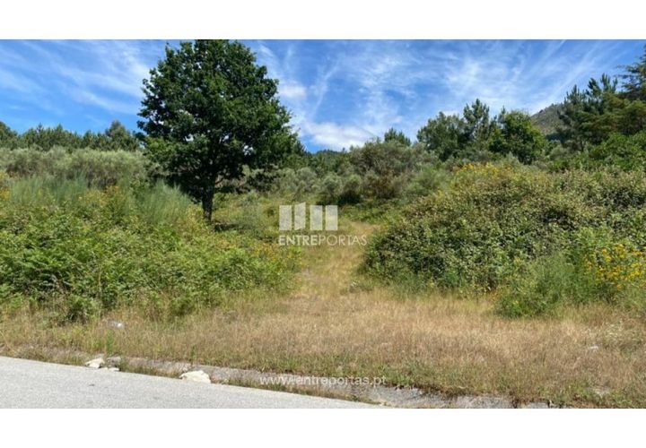 Terra a Atei, Vila Real, Atei - € 180.000 | Ref: MC09363 - foto 1