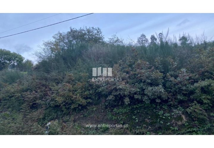 Helårsgrund i Baiao, Porto, Baiao - € 27.500 | Ref: MC09416 - foto 1