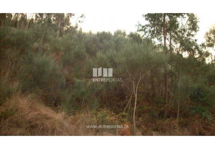 Helårsgrund i Ancede e Ribadouro, Porto, Ancede e Ribadouro - € 65.000 | Ref: MC00528 - foto 1