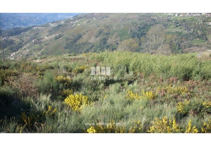 Tomt i Ancede e Ribadouro, Porto, Ancede e Ribadouro - € 55 000 | Ref: MC00700 - foto 1