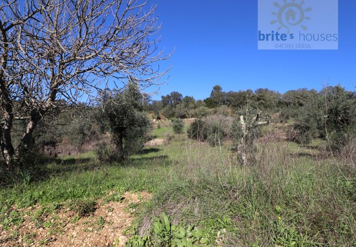Helårsgrund i Tomar, Santarem, Tomar - € 7.000 | Ref: Tr97 - foto 1