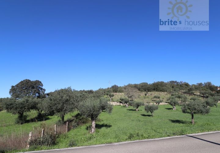 Helårsgrund i Tomar, Santarem, Tomar - € 18.000 | Ref: Tr98 - foto 1