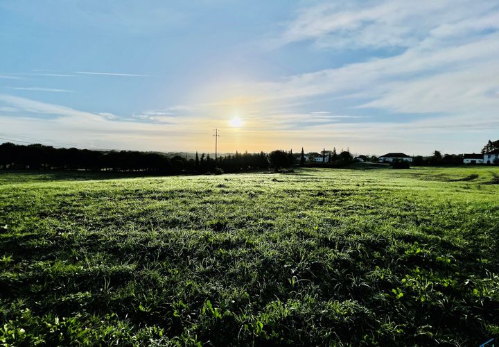 Helårsgrund i Tomar, Santarem, Tomar - € 70.000 | Ref: VCP029/23 - foto 1