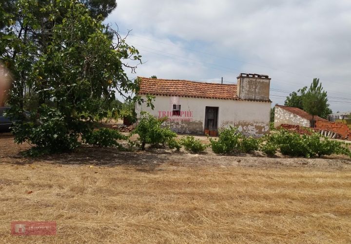 Farm i Coruche, Santarem, Coruche - € 280.000 | Ref: TPH001-260 - foto 1