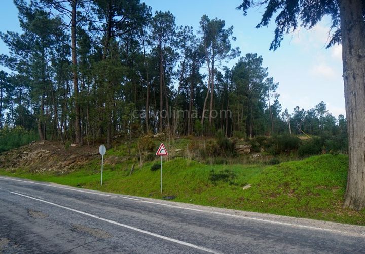 Helårsgrund i Ponte de Lima, Viana do Castelo, Ponte de Lima - € 30.000 | Ref: 3907 - foto 1