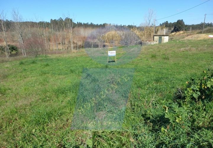 Helårsgrund i Anadia, Aveiro, Anadia - € 43.000 | Ref: TER_989 - foto 1