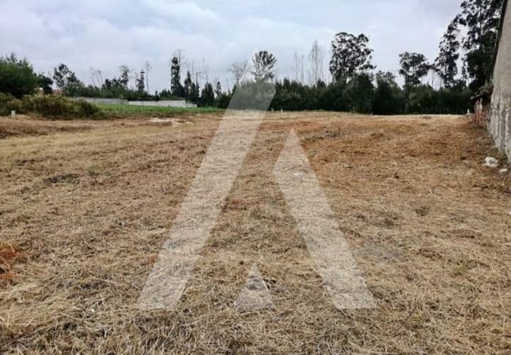 Helårsgrund i Eixo e Eirol, Aveiro, Eixo e Eirol - € 263.000 | Ref: 1020852/23 FR - foto 1