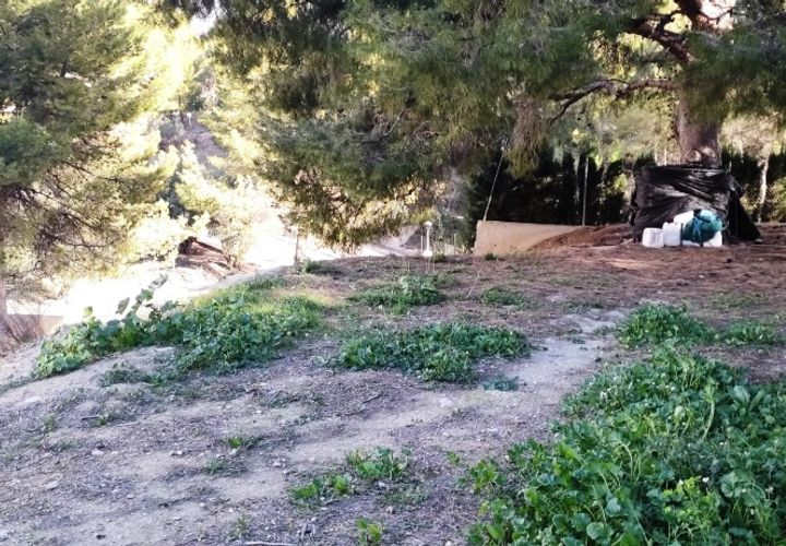 Terra a Cocentaina, Alicante, Cocentaina - € 85.000 | Ref: 8178 - foto 1