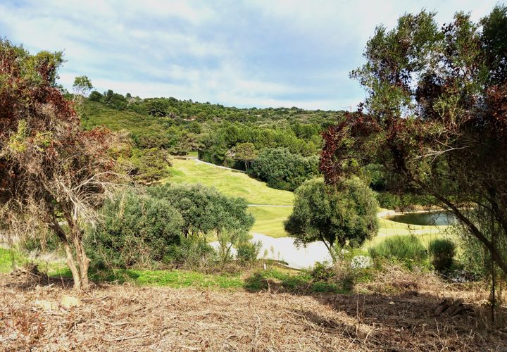 Helårsgrund i Sotogrande, Cadiz, Sotogrande - € 1.208.000 | Ref: 428-01231P - foto 1