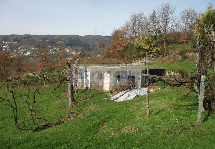 Farm i Baiao, Porto, Baiao - € 80.000 | Ref: 12607040 - foto 1