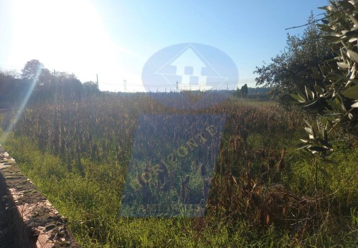 Helårsgrund i Anadia, Aveiro, Anadia - € 30.000 | Ref: TER_995 - foto 1