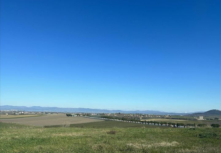 Terra a Paciano, Perugia, Paciano - € 55.000 | Ref: TE21 - foto 1