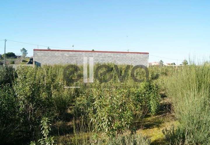 Helårsgrund i Castelo Branco, Castelo Branco, Castelo Branco - € 42.000 | Ref: 3630 - foto 1