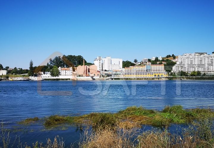 Farm i Oliveira do Douro, Porto, Oliveira do Douro - € 1.500.000 | Ref: SAFTI:003724 - foto 1