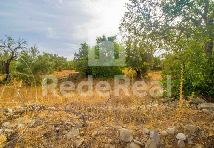 Helårsgrund i Estoi, Faro, Estoi - € 35.000 | Ref: 02217733F - foto 1