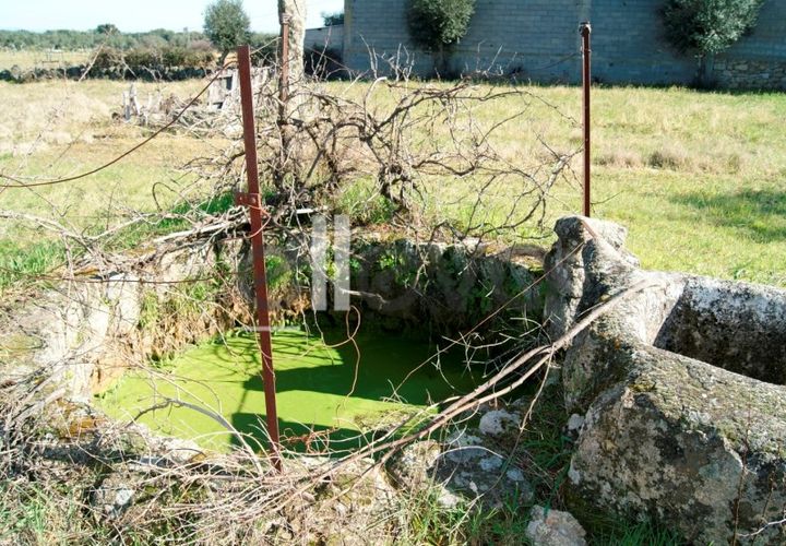 Helårsgrund i Escalos de Cima e Lousa, Castelo Branco, Escalos de Cima e Lousa - € 9.500 | Ref: 3638 - foto 1
