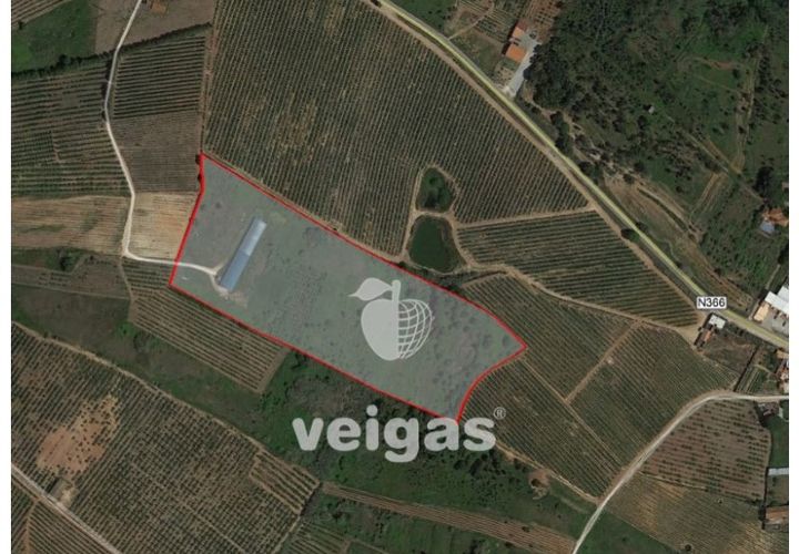 Helårsgrund i Cadaval, Lisbon, Cadaval - € 175.000 | Ref: CAL-209514 - foto 1