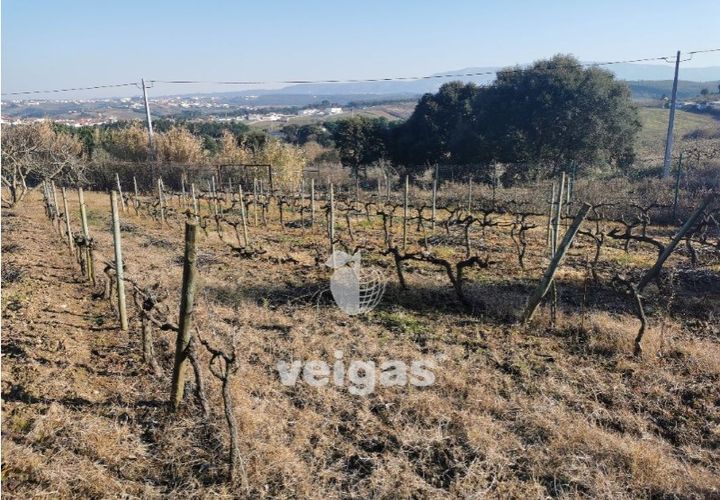 Helårsgrund i Bombarral, Leiria, Bombarral - € 85.000 | Ref: CAL-209529 - foto 1