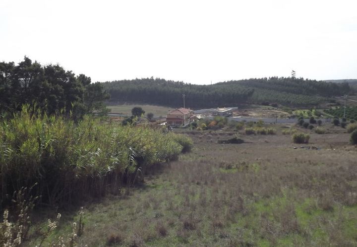 Helårsgrund i Rio Maior, Santarem, Rio Maior - € 80.000 | Ref: CAL-196745 - foto 1