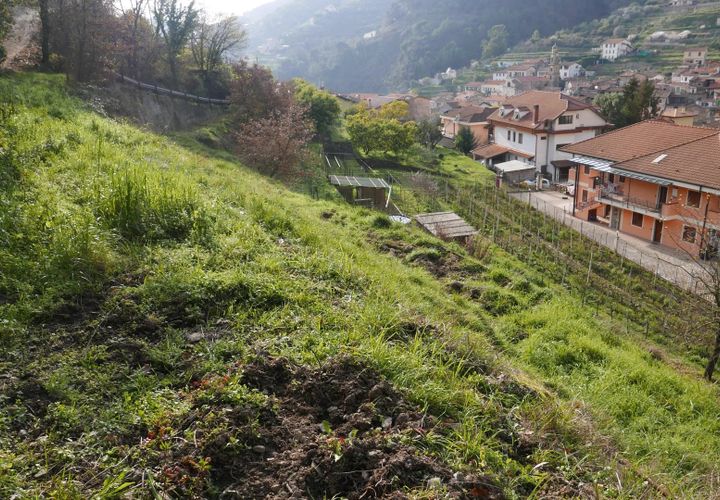 Terra a Soldano, Imperia, Soldano - € 85.000 | Ref: 8192385 - foto 1