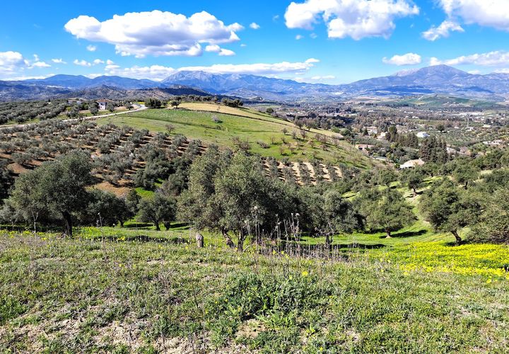 Helårsgrund i Coin, Malaga, Coin - € 140.000 | Ref: R4254559 - foto 1
