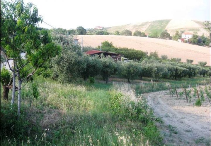 Villa i Offida, Ascoli Piceno, Offida - € 120.000 | Ref: 287-b - foto 1