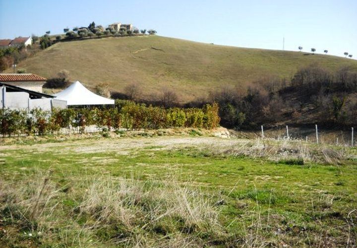 Terra a Castorano, Ascoli Piceno, Castorano - € 120.000 | Ref: 905 - foto 1