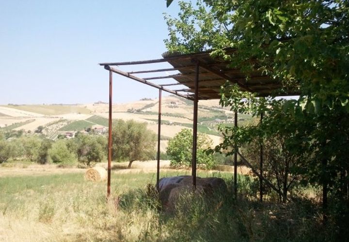 Villa en Offida, Ascoli Piceno, Offida - € 280.000 | Ref: 1113 - photo 1