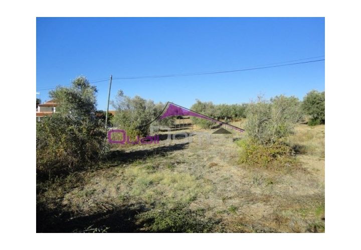 Terra a Riachos, Santarem, Riachos - € 75.000 | Ref: 2224 - foto 1