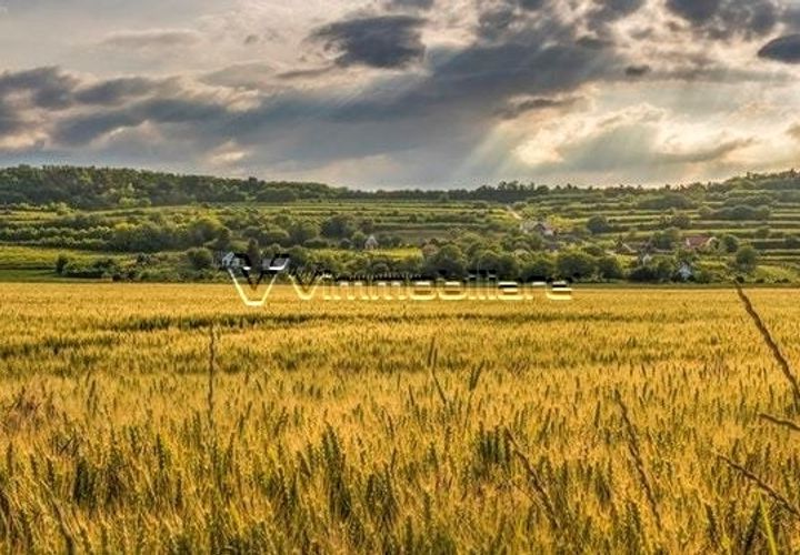 Terra a Albettone, Vicenza, Albettone - € 78.000 | Ref: BG5 - foto 1