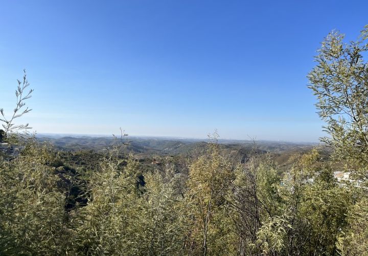 Helårsgrund i Monchique, Faro, Monchique - € 295.000 | Ref: 10299 - foto 1