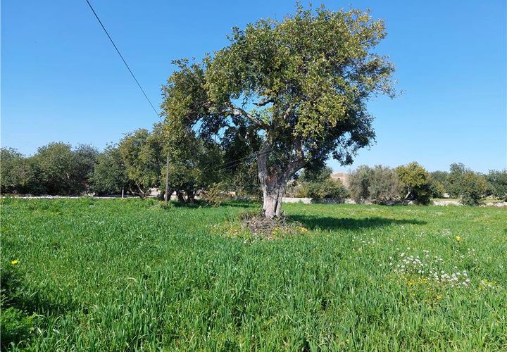 Helårsgrund i Scicli, Ragusa, Scicli - € 50.000 | Ref: 89 - foto 1