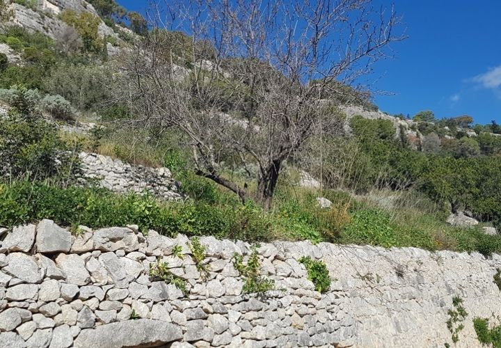 Lejlighed i Modica, Ragusa, Modica - € 15.000 | Ref: 10613 - foto 1