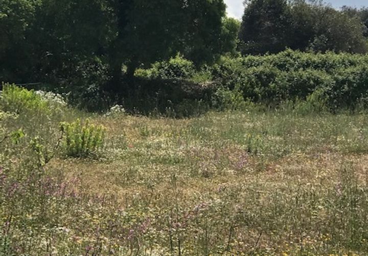 Lejlighed i Modica, Ragusa, Modica - € 20.000 | Ref: 10664 - foto 1