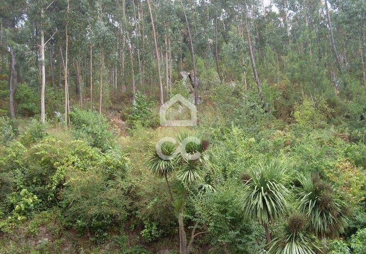 Helårsgrund i Guimaraes, Braga, Guimaraes - € 60.000 | Ref: 356/T/00290 - foto 1