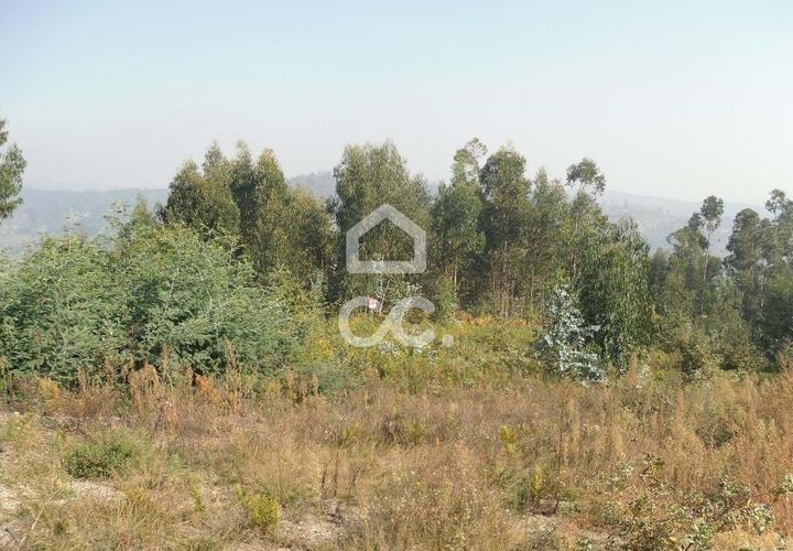 Helårsgrund i Guimaraes, Braga, Guimaraes - € 56.000 | Ref: 356/T/00306 - foto 1