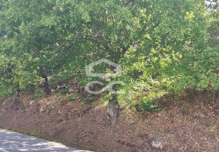 Tomt i Fafe, Braga, Fafe - € 113 000 | Ref: 336/T/01369 - foto 1