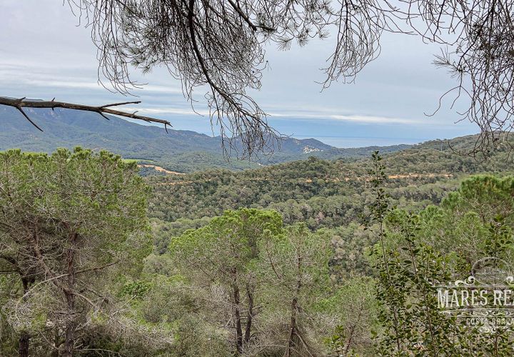 Terra a Lloret De Mar, Gerona, Lloret De Mar - € 105.450 | Ref: 436T19 - foto 1