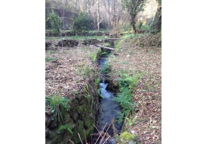 Farm i Sever do Vouga, Aveiro, Sever do Vouga - € 60.000 | Ref: FIN_0025 - foto 1
