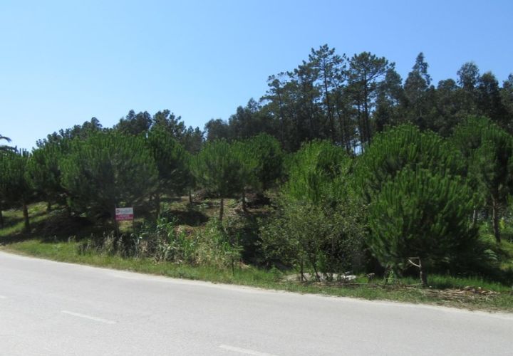 Tomt i Monte Real, Leiria, Monte Real - € 50 000 | Ref: mg1688 - foto 1